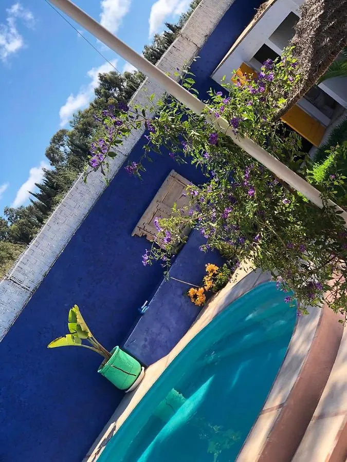 Villa Aloe Vera Privee Essaouira 0*,