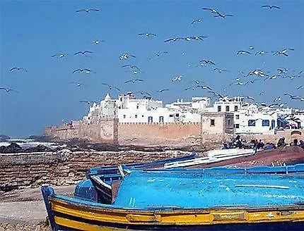 Villa Aloe Vera Privee Essaouira