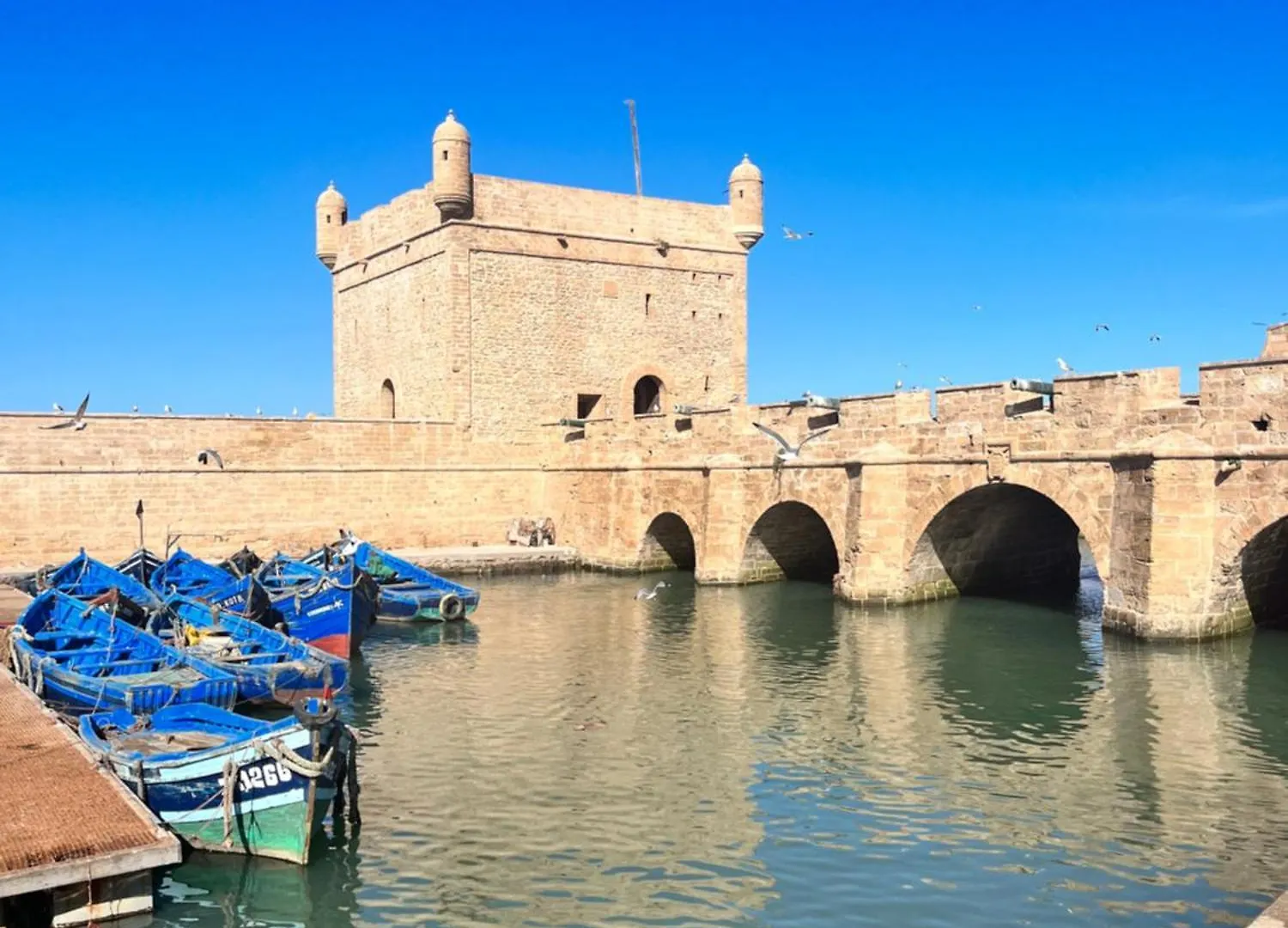 Villa Aloe Vera Privee Essaouira Morocco